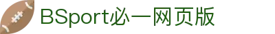 必一(运动科技有限公司)官方网站-B·Sport